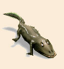 Flugunfähiger Drache