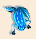 Eiskröte