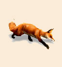 Fuchs