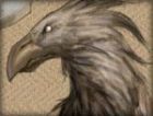 freundlicher_adler_k.jpg