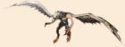drache_hg_o.jpg